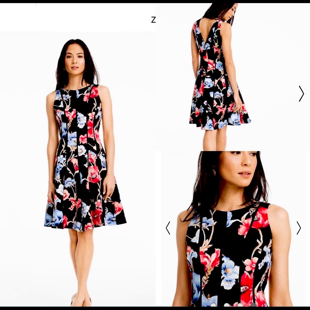White House Black Market Floral Scuba Dress